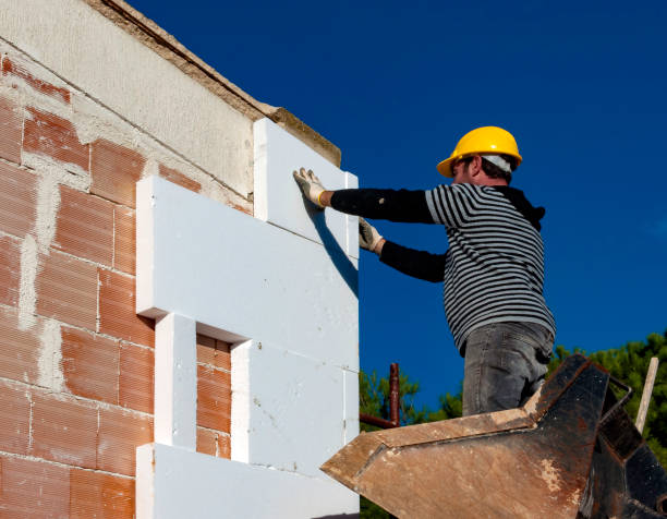 Best Garage Insulation Installation  in Albany, GA