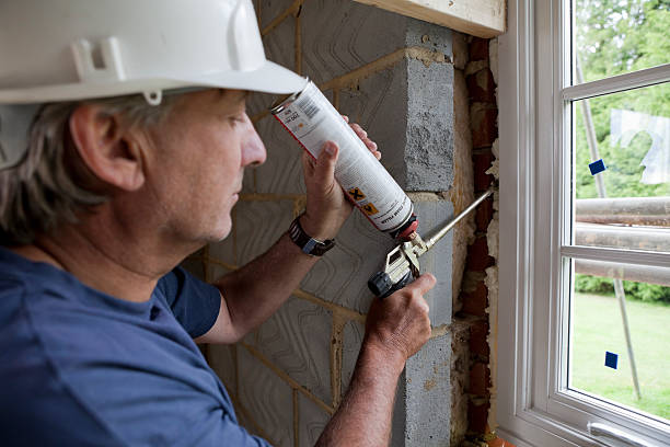 Best Cellulose Insulation  in Albany, GA