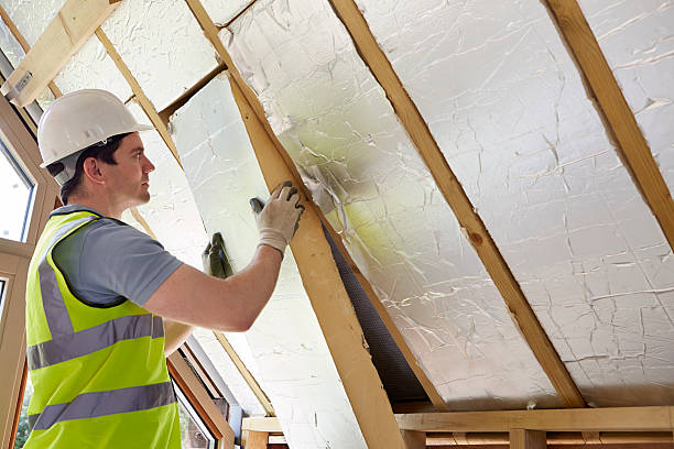 Best Wall Insulation Contractor  in Albany, GA